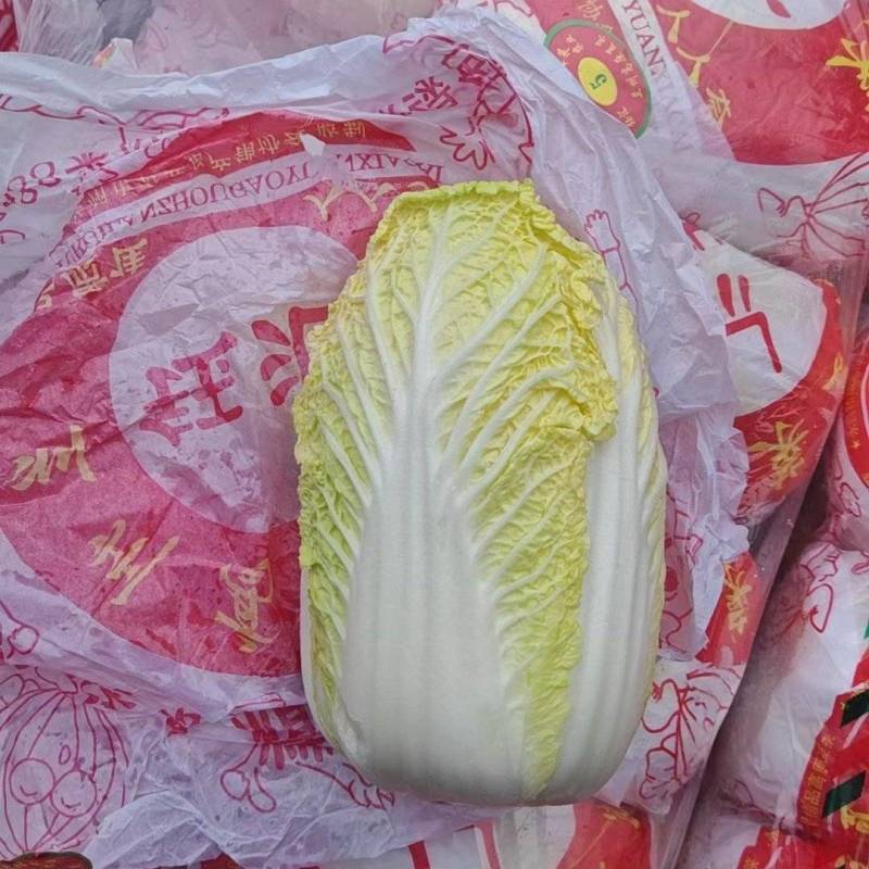 小娃娃菜，真空打氮，能提供商检，出口，韩国，俄罗斯，