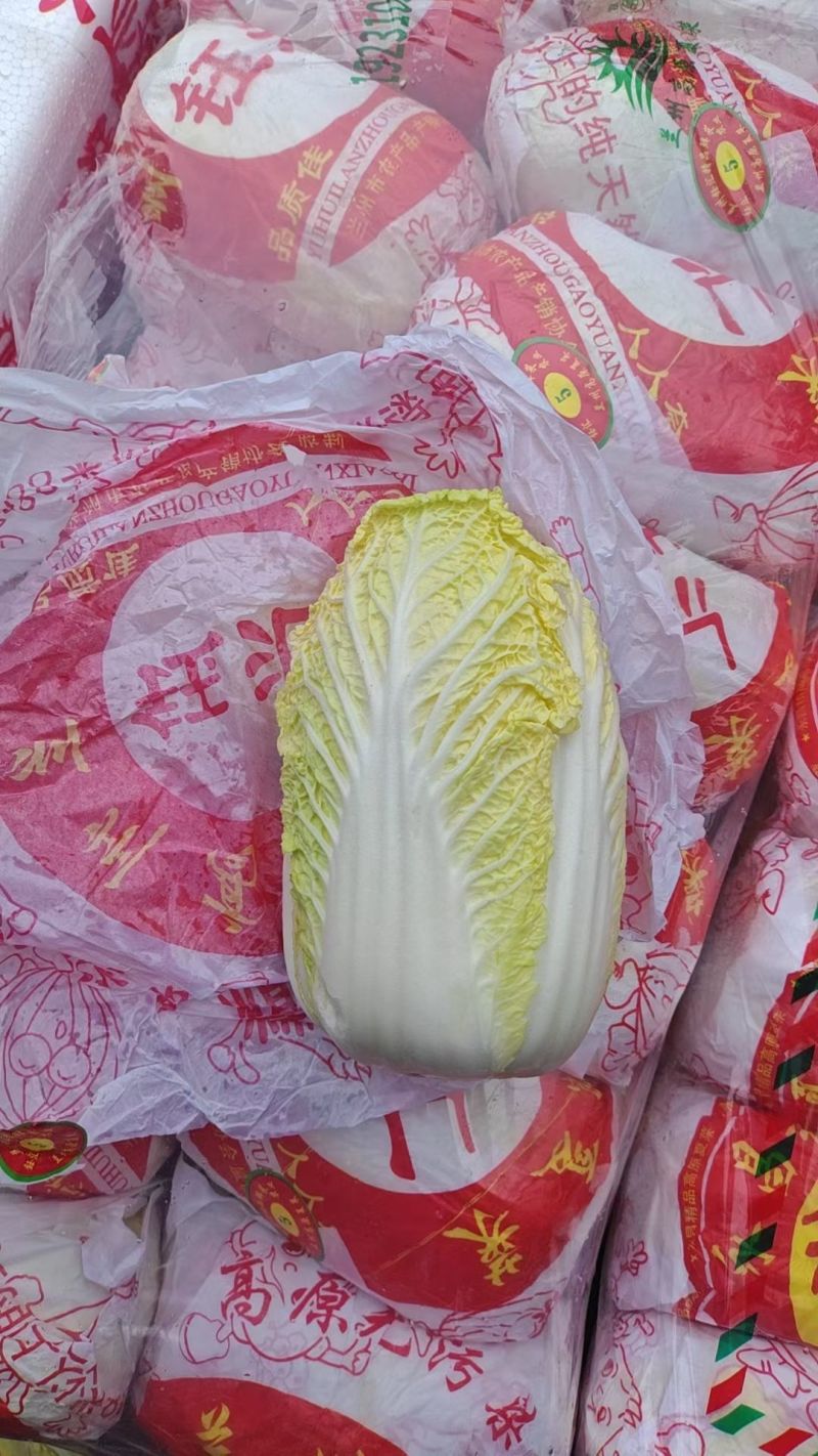 小娃娃菜，真空打氮，能提供商检，出口，韩国，俄罗斯，