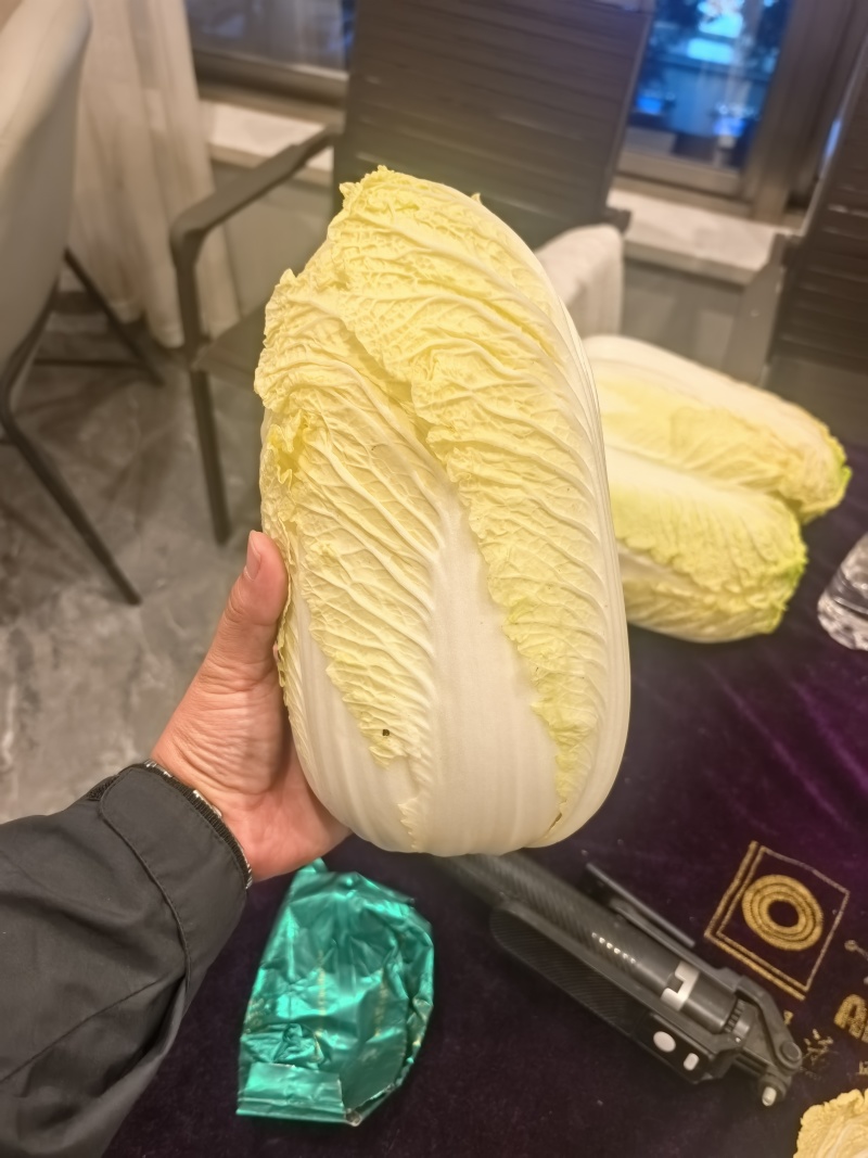 小娃娃菜，真空打氮，能提供商检，出口，韩国，俄罗斯，