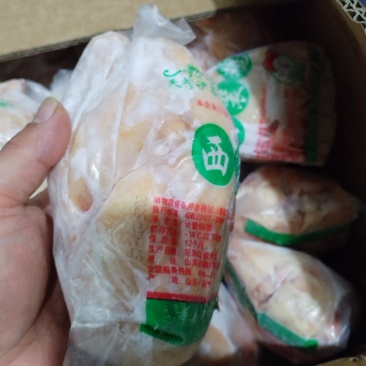 西装鸡16只童子鸡三黄鸡莘县西装鸡
