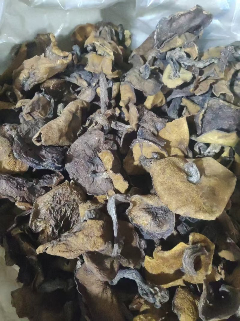 精品头茬手选松蘑烤干，无虫，吃起来味道香醇，一手货源。