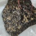 精品头茬手选松蘑烤干，无虫，吃起来味道香醇，一手货源。