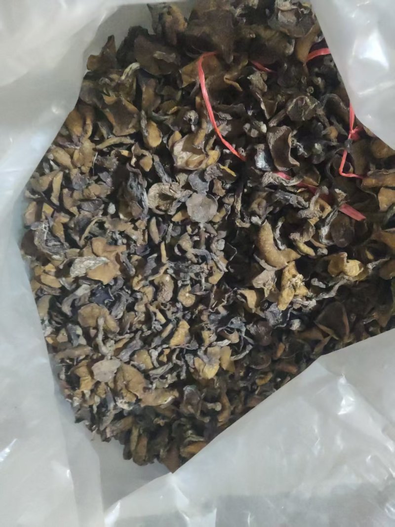 精品头茬手选松蘑烤干，无虫，吃起来味道香醇，一手货源。