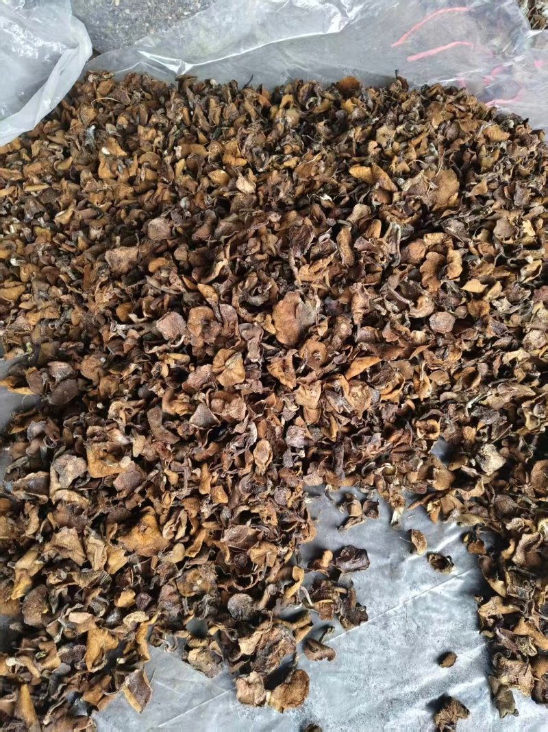 精品头茬手选松蘑烤干，无虫，吃起来味道香醇，一手货源。