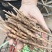 【正宗】特级牡丹苗花色多样可供选择品质好成活率高
