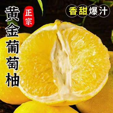 《葡萄柚》平和柚子/黄金葡萄柚/电商货源/一件代发供应