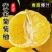 《葡萄柚》平和柚子/黄金葡萄柚/电商货源/一件代发供应