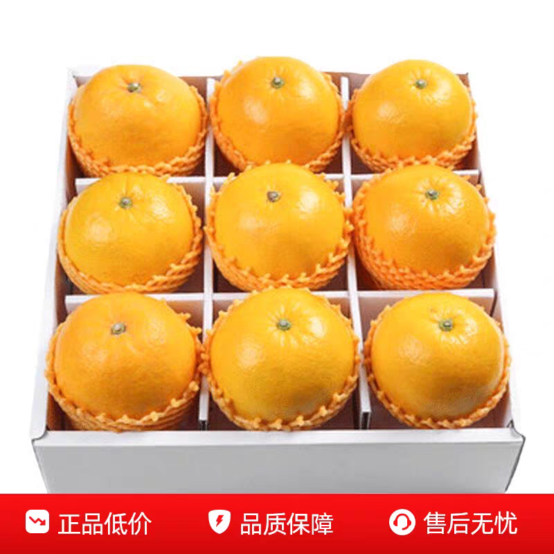 《葡萄柚》平和柚子/黄金葡萄柚/电商货源/一件代发供应
