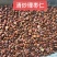 枣仁理枣仁酸枣仁炒枣仁生枣仁各种规格中药材批发零售