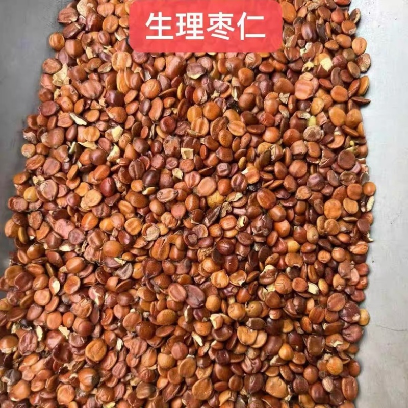 枣仁理枣仁酸枣仁炒枣仁生枣仁各种规格中药材批发零售