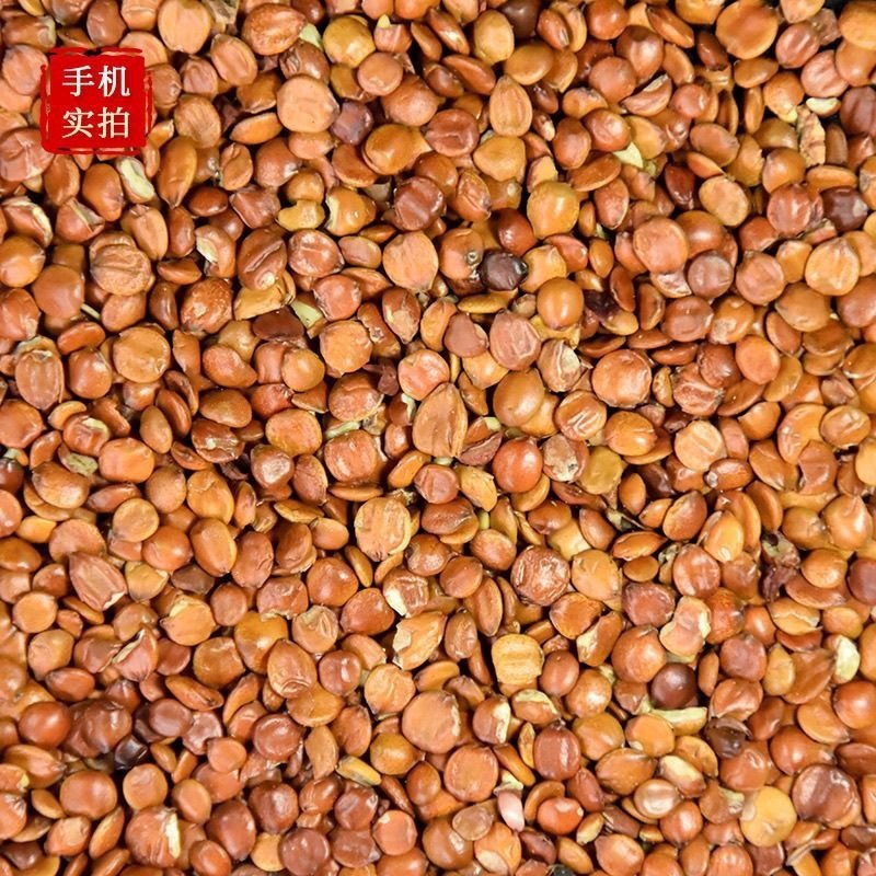 枣仁理枣仁酸枣仁炒枣仁生枣仁各种规格中药材批发零售