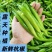 精品大杭椒今日报价质量好品质有保障电商超市各大市场联系