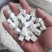 中药材茯苓1000克