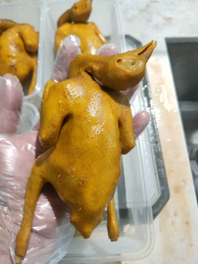 乳鸽成品半成品