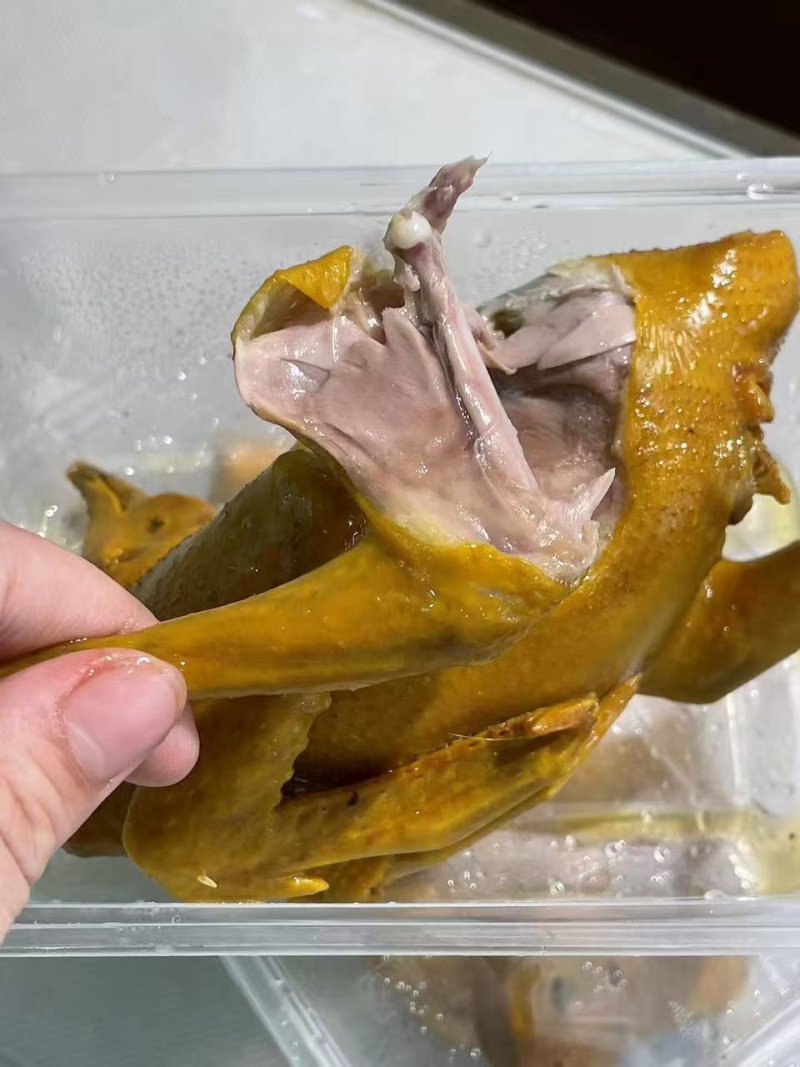 乳鸽成品半成品