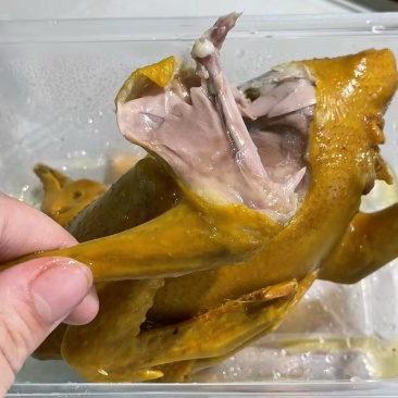 乳鸽成品半成品