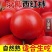 四川攀枝花西红柿/沙瓤西红柿/产区直发/
