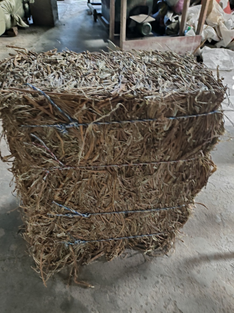 桑枝皮(干皮)欢迎各位老板提前预定下单