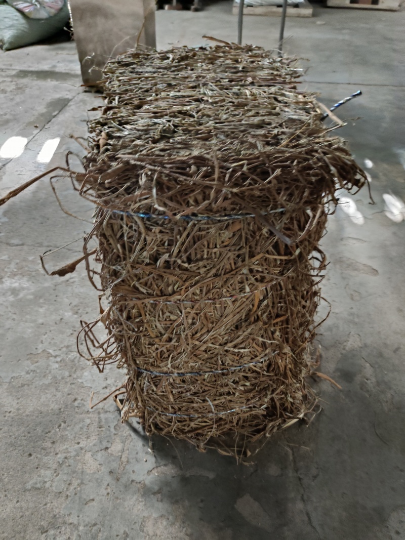 桑枝皮(干皮)欢迎各位老板提前预定下单