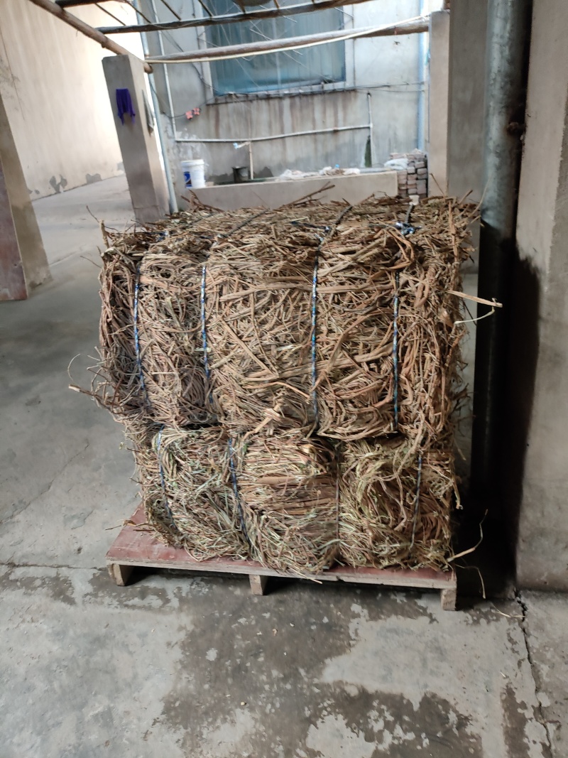 桑枝皮(干皮)欢迎各位老板提前预定下单