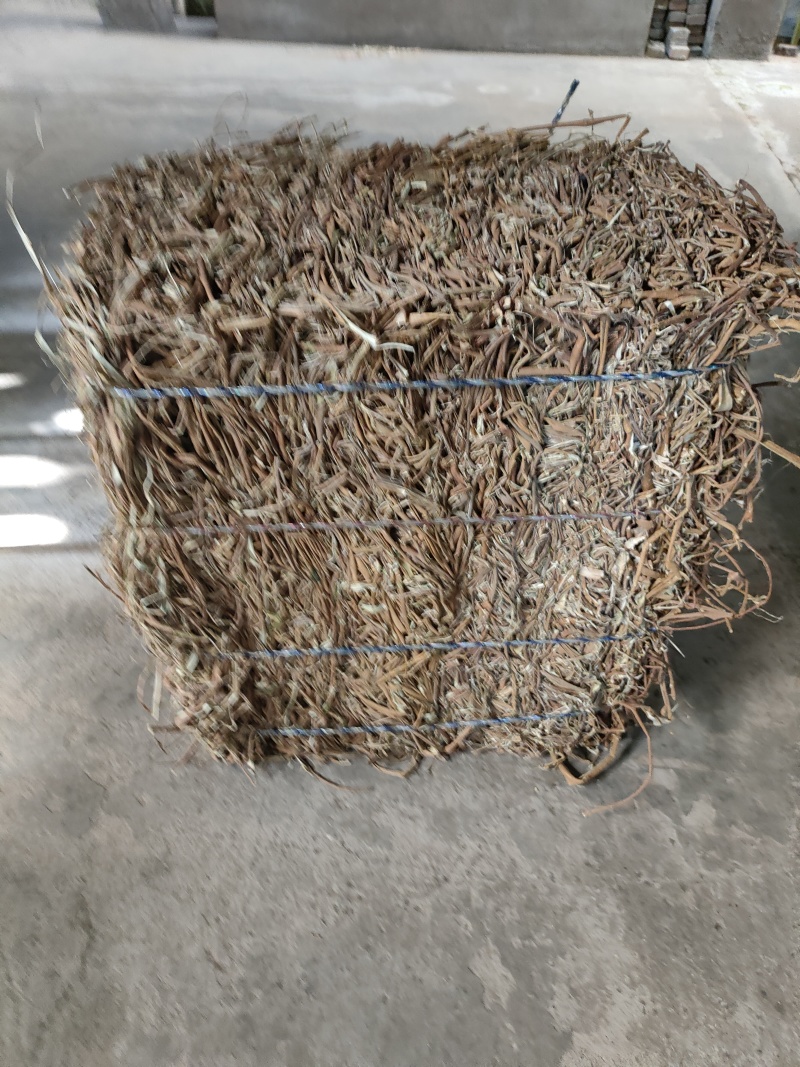 桑枝皮(干皮)欢迎各位老板提前预定下单