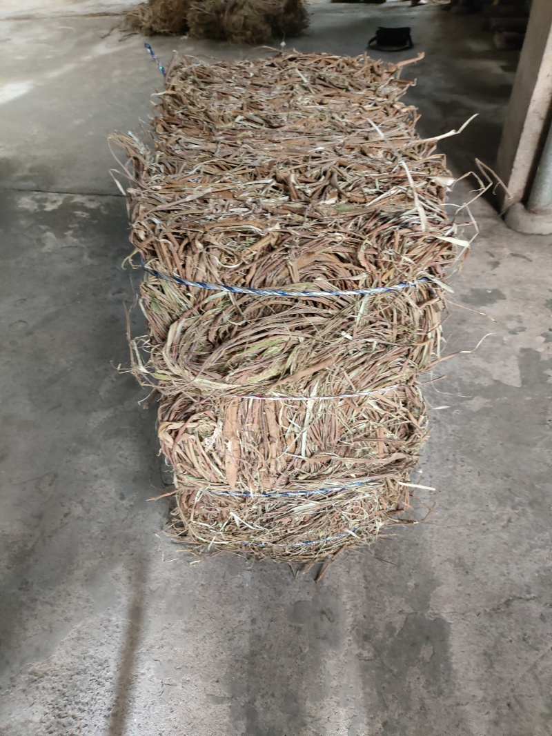 桑枝皮(干皮)欢迎各位老板提前预定下单