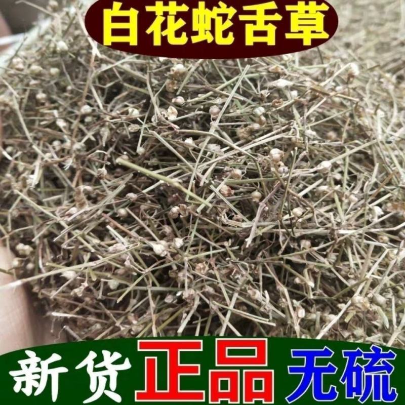 白花蛇舌草中药材白花蛇舌草正品干净无杂新货康养斋中药材