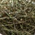 白花蛇舌草中药材白花蛇舌草正品干净无杂新货康养斋中药材
