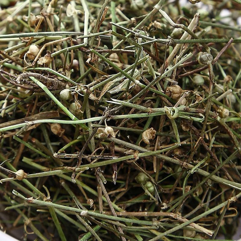 白花蛇舌草中药材白花蛇舌草正品干净无杂新货康养斋中药材
