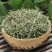 白花蛇舌草中药材白花蛇舌草正品干净无杂新货康养斋中药材