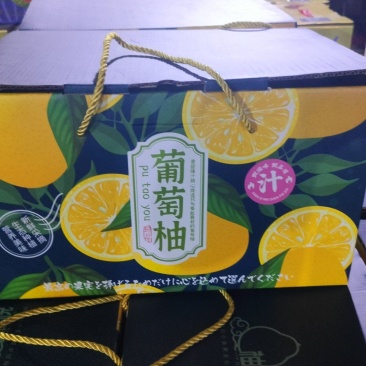 葡萄柚现场采摘现场发货