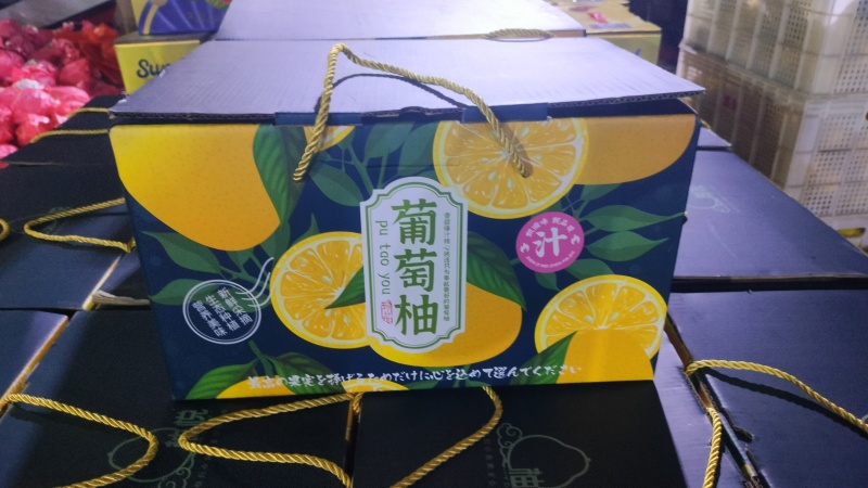 葡萄柚现场采摘现场发货