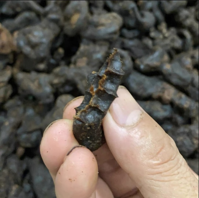 黄精九蒸九晒黄精即食黄精纯正品***古法制作软糯香甜
