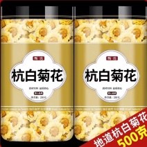 杭白菊花正宗杭州菊花正品桐乡胎菊白菊花
