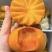 脆柿
