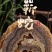 蕲蛇中药材蕲蛇五步蛇正品无毒干净无杂无硫中药材