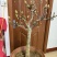 盆景玉兰，矮化浅霞盆景玉兰，三季开花，花多而艳，好养好活