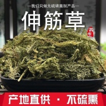 伸筋草中药材伸筋草伸筋草正品干净无杂康养斋中药材专营