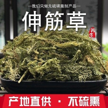 伸筋草中药材伸筋草伸筋草正品干净无杂康养斋中药材专营