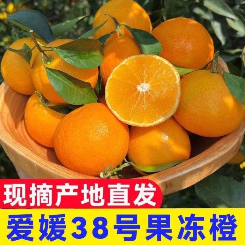 【精品】爱媛38号果冻橙橙子纯甜入口即化产地直销