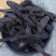 阿拉善野生肉苁蓉正品油苁蓉男性泡酒泡水整条切片软大芸