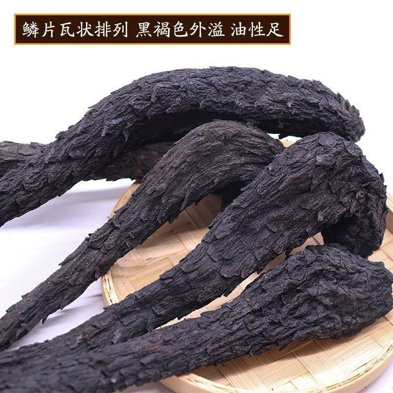 阿拉善野生肉苁蓉正品油苁蓉男性泡酒泡水整条切片软大芸