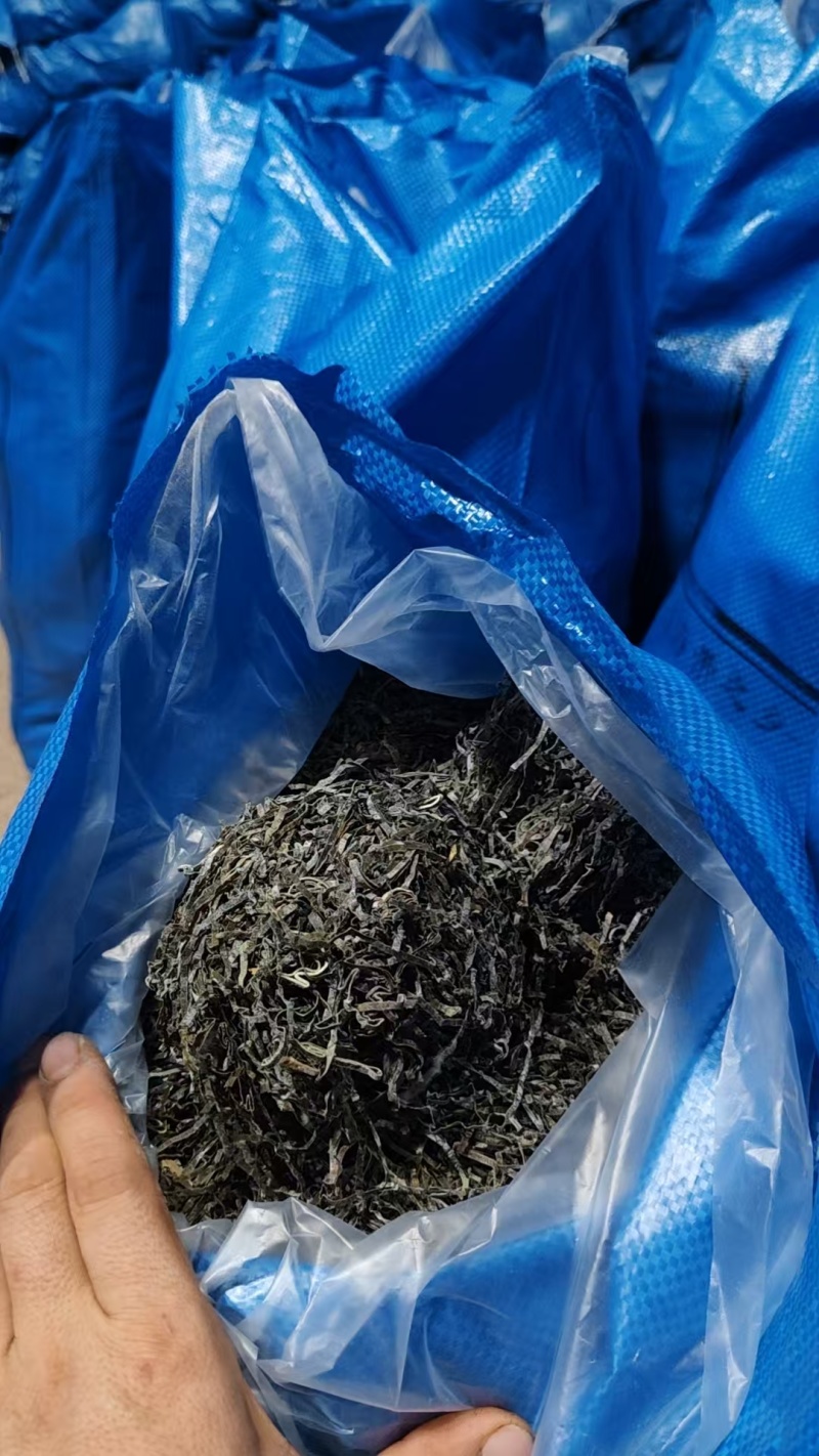 福建本地海带丝。牛肉面海带丝，量大从优。发货迅速。