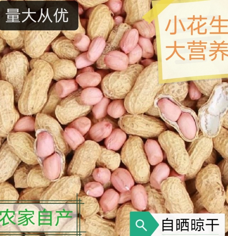 2025新花生批发下酒菜带壳熟花生