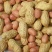 2025新花生批发下酒菜带壳熟花生