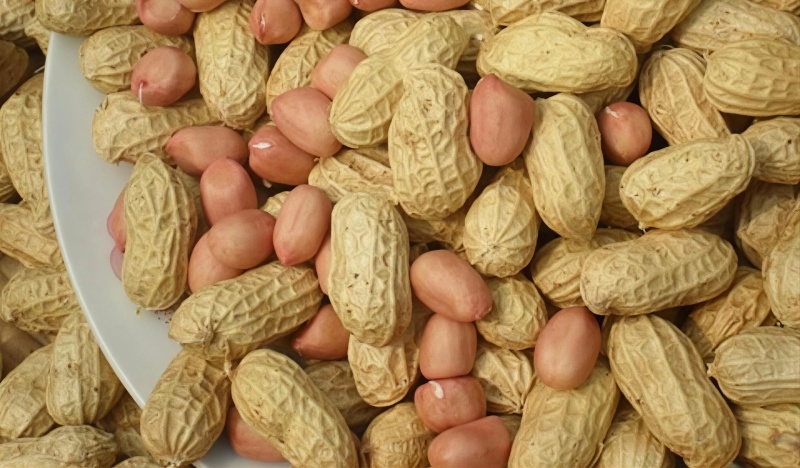 2025新花生批发下酒菜带壳熟花生