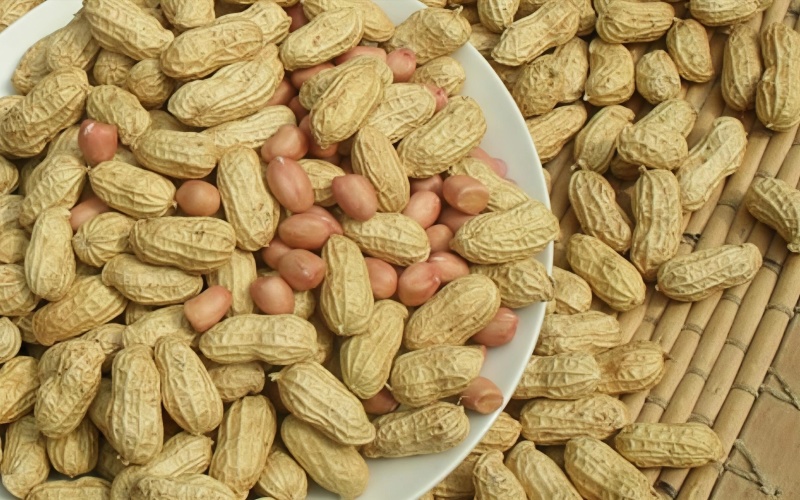 2025新花生批发下酒菜带壳熟花生