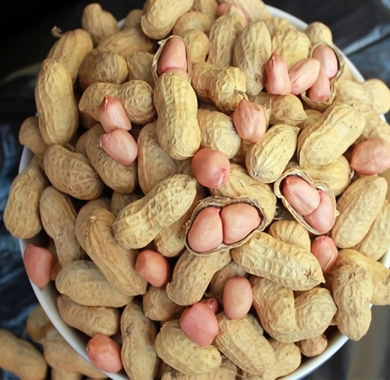 2025新花生批发下酒菜带壳熟花生
