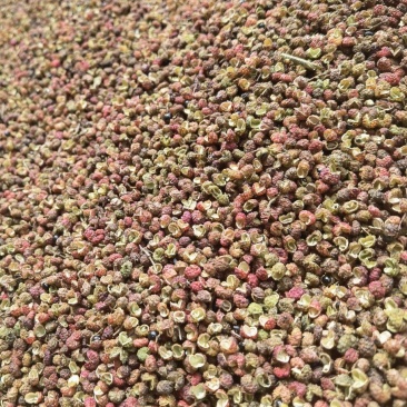 青花椒出售，有3吨货源。价格不贵，麻度高。需要的老板联系