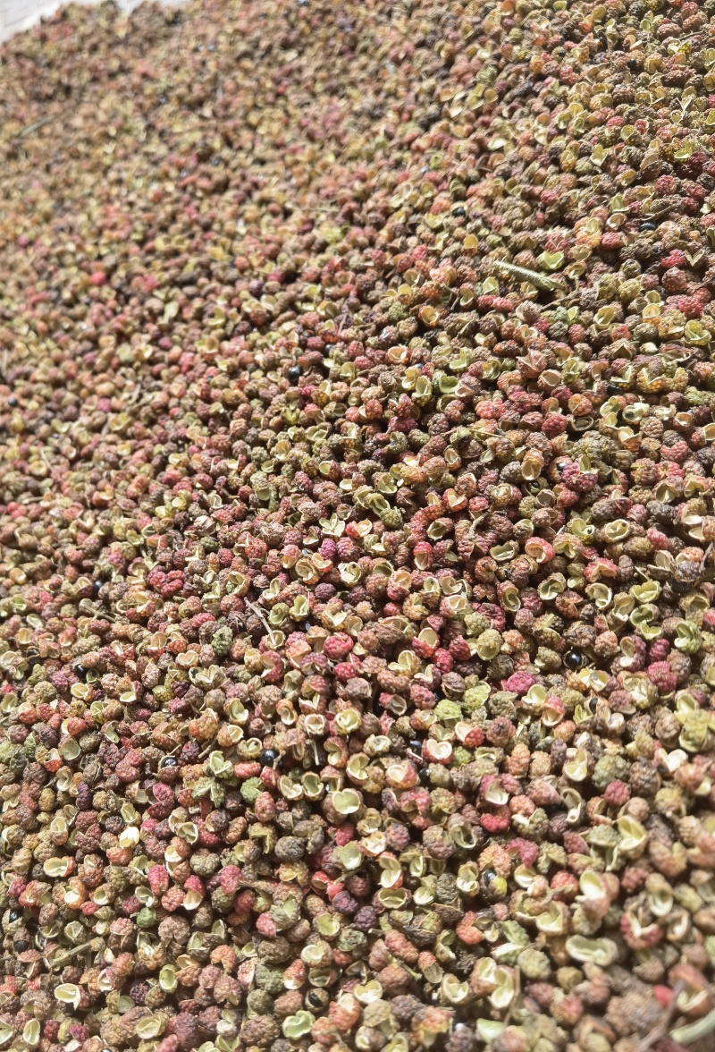 青花椒出售，有3吨货源。价格不贵，麻度高。需要的老板联系
